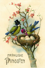 Froehliche Pfingstn  Vogelnest  1929