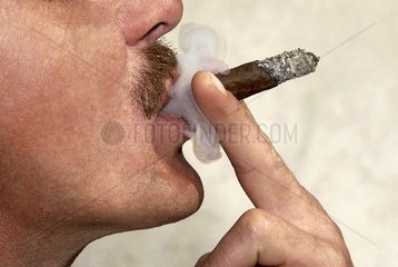 Zigarrenraucher