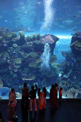 Dubai  Vereinigte Arabische Emirate  Besucher vor dem Dubai Aquarium der Mall of Dubai