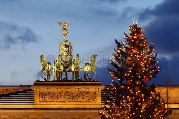 Berlin  Deutschland  geschmueckter Weihnachtsbaum vor dem Brandenburger Tor