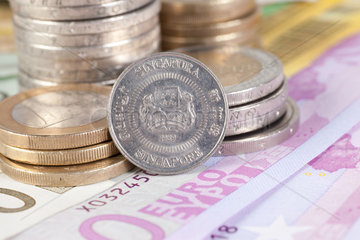 Berlin  Deutschland  Euroscheine  Euromuenzen und eine Singapur-Dollar-Muenze