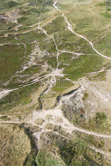 Hvide Sande  Daenemark  Trampelpfade in der Duenenlandschaft