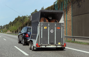 Hannover  Deutschland  Auto mit Pferdeanhaenger auf der A2