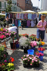 Ystad  Schweden  Blumenstand auf einem Wochenmarkt