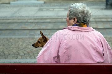 Breslau  Polen  aeltere Dame mit Hund auf einer Bank