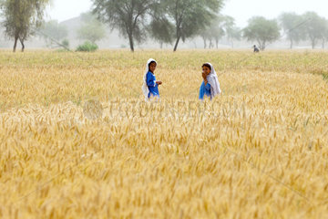 Jaffarabad  Pakistan  zwei Maedchen im Weizenfeld