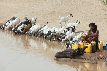 Semera  Aethiopien  Nomaden beim Wasserholen an einer Wasserstelle