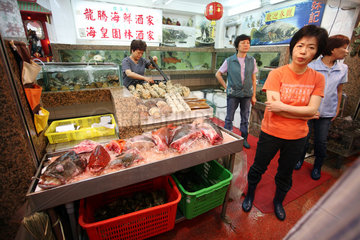 Hong Kong  China  Fischstand auf einem Markt