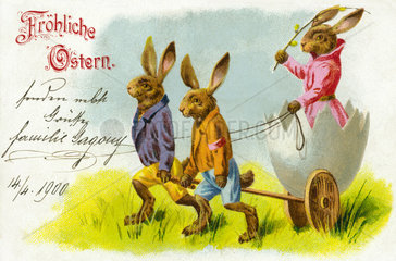 Froehliche Ostern  Osterhasen  Postkarte  1900