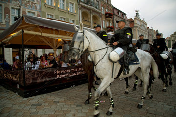 Posen  Polen  berittene Polizei zeigt sich am Stary Rynek