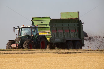 Ingelheim  Deutschland  Landwirt verteilt Kuhmist auf einem abgeernteten Feld