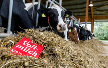 Unna  Deutschland  Milchtuete in einem Kuhstall