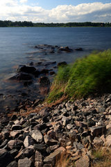 Karlstad  Schweden  Langzeitbelichtung von Schilf am Ufer des Vaenern Sees