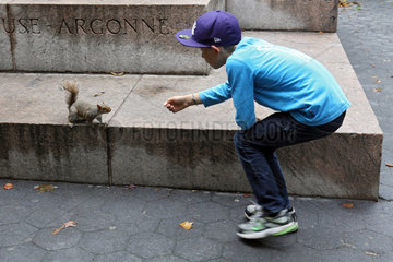 New York  USA  Junge versucht ein Grauhoernchen anzulocken