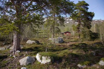 Mole  Norwegen  Umgebung des Langfjord