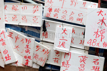 Hongkong  China  chinesische Schriftzeichen auf Styroporplatten geschrieben
