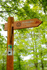 Schleiden  Deutschland  Wanderung auf dem Wildnistrail im Nationalpark Eifel