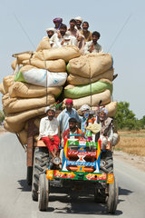 Usman Kurea  Pakistan  Transport der Ernte auf einem Traktor