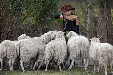 Berlin  Deutschland  Schafe der Rasse Skudde draengen sich neugierig um einen Jungen mit Cowboyhut