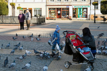 Belgard an der Persante  Polen  eine Frau fuettert Tauben auf dem Marktplatz