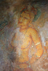 Sigiriya  Sri Lanka  Fresken der Wolkenmaedchen
