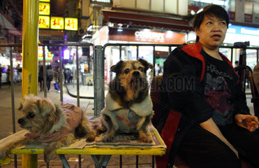 Hong Kong  China  eine Frau sitzt neben ihren Hunden an einer Busshaltestelle