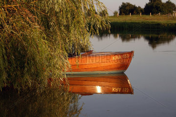 Prangendorf  Deutschland  leeres Holzboot unter einer Weide
