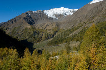 Schnalstal  Italien  Berglandschaft im Pfossental