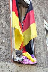 Berlin  Deutschland  Hund liegt auf einer Fensterbank