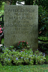 Zuerich  Schweiz  das Grab von des Psychiaters Leopold Szondi