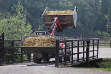 Gestuet Itlingen  Container mit Pferdemist werden mit einem Traktor transportiert