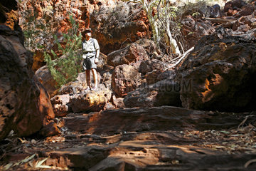 Tom Price  Australien  Dales Schlucht im Karijini Nationalpark mit den Fortescue Falls