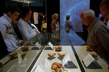 Berlin  Deutschland  Besucher schauen sich Plastinationen auf der Ausstellung Koerperwelten von Gunther von Hagens an