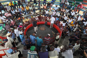 Leogane  Haiti  Hahnenkampf in einer Arena