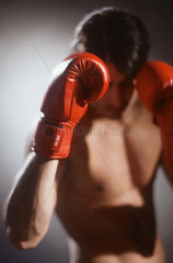 Hamburg  Deutschland  Boxer in Kampfpose mit Boxhandschuhen