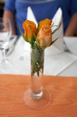 Stendal  Deutschland - Rosen auf einem eingedecktem Tisch in einem Restaurant
