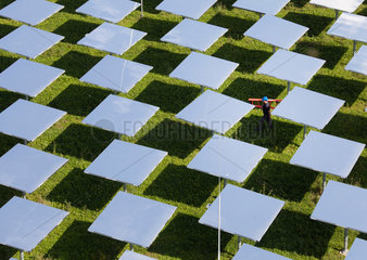 Juelich  Deutschland  ein Techniker arbeitet im Spiegelfeld des Solarturmkraftwerks Juelich