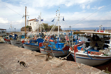 Skala Sikamineas  Griechenland  Fischerboote im Hafen von Skala Sikamineas