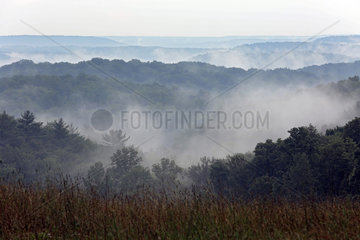 Punxsutawney  USA  Landschaft im Nebel