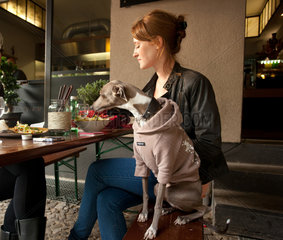 Berlin  Deutschland  Windhund im modischen Pullover und Frauchen am Esstisch im Strassenrestaurant