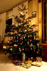 Deutschland  ein geschmueckter Weihnachtsbaum