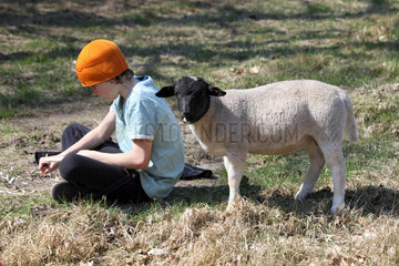 Neu Kaetwin  Deutschland  Junge sitzt neben einem Schaf auf dem Boden und schnitzt