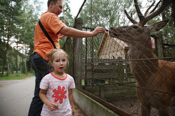 Kamjanjuki  Weissrussland  Touristen besuchen Tiere in der Belavezskaja pusca