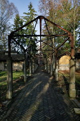 Beelitz-Heilstaetten  Deutschland  auf dem Gelaende des ehemaligen Sanatoriums Beelitz-Heilstaetten