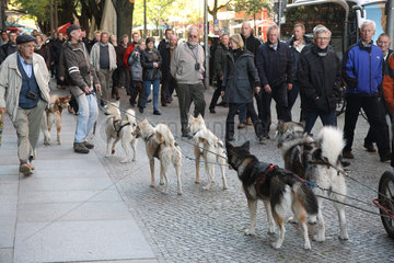Berlin  Deutschland  Huskys warten auf Kundschaft zur Stadtrundfahrt