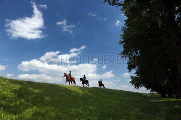 Graditz  Deutschland  Pferde und Reiter bei einem Ausritt