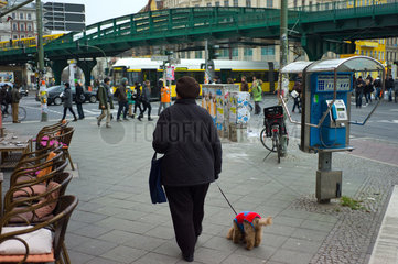 Berlin  Deutschland  eine Frau mit ihrem Hund auf der Eberswalderstrasse