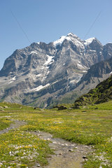 Lauterbrunnental  Schweiz  Gebirgsbach fliesst durch eine Bergwiese