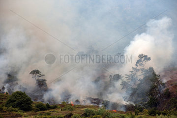 Sao Vincente  Portugal  ein Waldbrand am Rande der Stadt