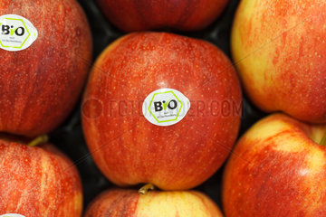 Berlin  Deutschland  Aepfel mit EG-Bio-Siegel auf der Fruit Logistica 2011